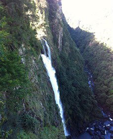 Ellenborough Falls - Accommodation Mount Tamborine 0