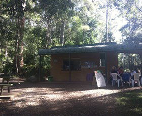 Ellenborough Falls - Accommodation Mount Tamborine 1