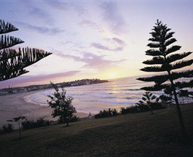 Bondi Beach - Accommodation Mount Tamborine 1