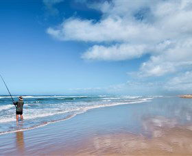 Stockton Beach - Accommodation Mount Tamborine 0
