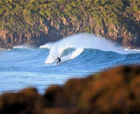 Killalea Beach - Accommodation Mount Tamborine 0