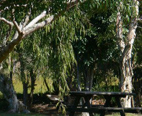Ellangowan NSW Accommodation Mount Tamborine