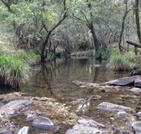 Homeleigh - Accommodation Mount Tamborine