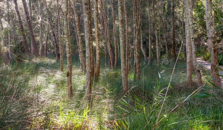  Accommodation Mount Tamborine