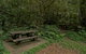 Brindle Creek Picnic Area - thumb 2