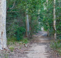 Delta track - Accommodation Mount Tamborine