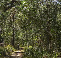 Sand track walk south - Accommodation Mount Tamborine