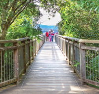 Skywalk lookout - Accommodation Mount Tamborine