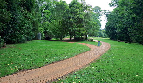 The Glade Picnic Area - Accommodation Mount Tamborine 1