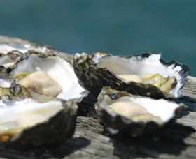 Jim Wilds Oyster Service - Accommodation Mount Tamborine 0