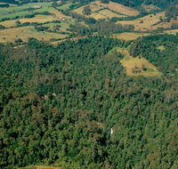 Boorganna Nature Reserve - Accommodation Mount Tamborine