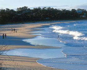 Mollymook Beach - Accommodation Mount Tamborine 1