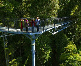 Tamborine Rainforest Skywalk - Accommodation Mount Tamborine 1