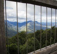 Dorrigo Rainforest Centre - Accommodation Mount Tamborine