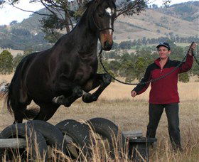 Kings Creek Saddle Club - Accommodation Mount Tamborine 5