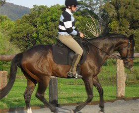 Kings Creek Saddle Club - Accommodation Mount Tamborine 6
