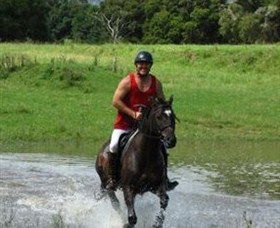 Kings Creek Saddle Club - Accommodation Mount Tamborine 4