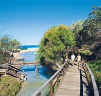 Eli Creek - Accommodation Mount Tamborine