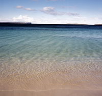 Hyams Beach trail - Accommodation Mount Tamborine