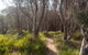 Murramarang Aboriginal Area Walking Track - thumb 1