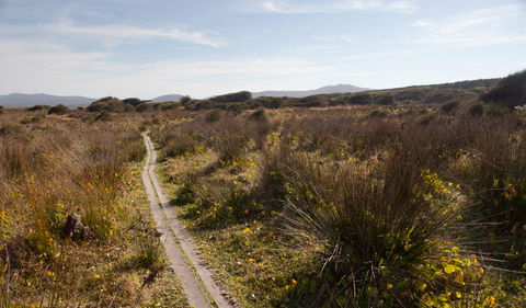 Murramarang Aboriginal Area Walking Track - Accommodation Mount Tamborine 2
