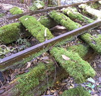 Wootton Historical Railway Walk - Accommodation Mount Tamborine