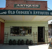 Old Codgers Antiques - Accommodation Mount Tamborine