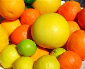 Fruit Salad Tree Company - Accommodation Mount Tamborine 2