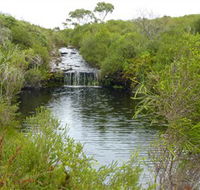 Booderee National Park Green Patch and Telegraph Creek Walking Tracks - Accommodation Mount Tamborine