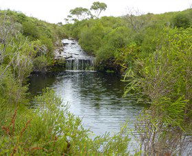 Booderee National Park: Green Patch And Telegraph Creek Walking Tracks - Accommodation Mount Tamborine 0