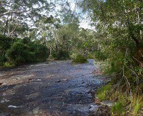 Booderee National Park: Green Patch And Telegraph Creek Walking Tracks - Accommodation Mount Tamborine 2