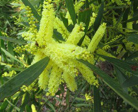 Booderee National Park: Munyunga Waraga Dhugan Walking Trail - Accommodation Mount Tamborine 1
