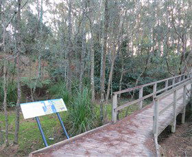 Booderee National Park: Munyunga Waraga Dhugan Walking Trail - Accommodation Mount Tamborine 8