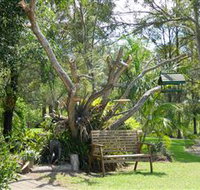 Mondrook Garden Cafe Gallery and Function Centre - Accommodation Mount Tamborine