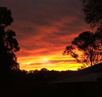 Tinonee Museum - Accommodation Mount Tamborine
