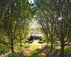 All Saints Garden - Accommodation Mount Tamborine 4