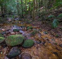 Starrs Creek picnic area - Accommodation Mount Tamborine