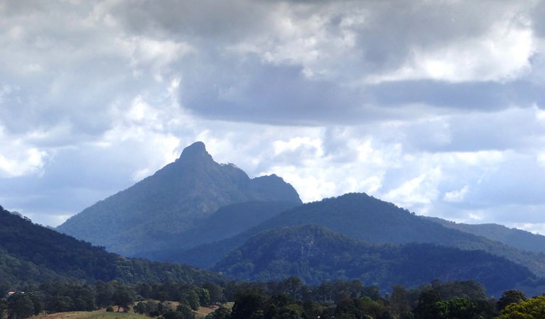 Round Mountain NSW Accommodation Mount Tamborine