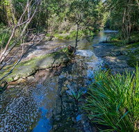 Dawson River walking track - Accommodation Mount Tamborine