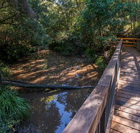 Ms Kellys walking track - Accommodation Mount Tamborine