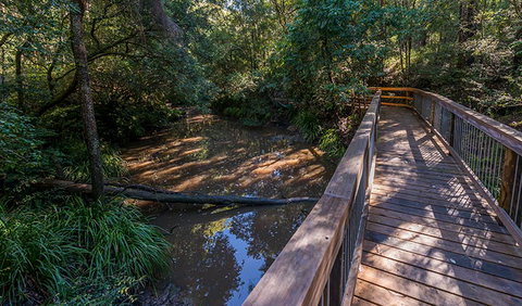 Ms Kellys Walking Track - Accommodation Mount Tamborine 0