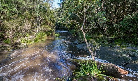 Brimbin Picnic Area - Accommodation Mount Tamborine 2