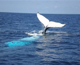 Booderee National Park: Cape St George Lighthouse - Accommodation Mount Tamborine 1