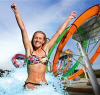 Wet'n'Wild Gold Coast - Accommodation Mount Tamborine