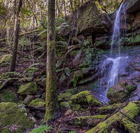 Coorabakh National Park - Accommodation Mount Tamborine