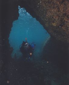Tangalooma Wrecks Dive Site - Accommodation Mount Tamborine 1