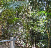 Goorgana walking track - Accommodation Mount Tamborine