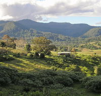 Mount Nardi picnic area - Accommodation Mount Tamborine