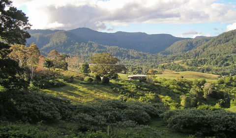 Mount Nardi Picnic Area - Accommodation Mount Tamborine 0