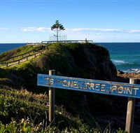 One Tree Point Lookout and Picnic Area - Accommodation Mount Tamborine